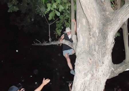 The unidentified climber is finally convinced to return to solid ground.